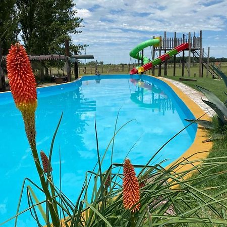 Posada De Campo Mamull Mapu Ранкуль Экстерьер фото